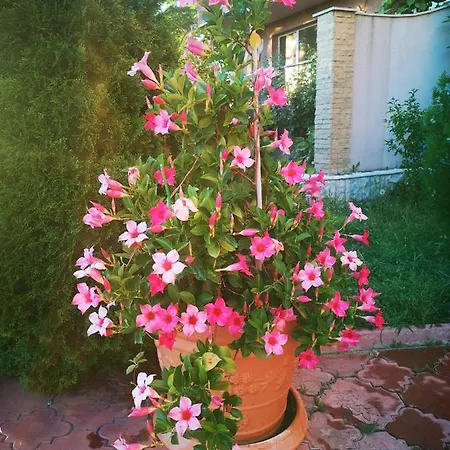 Appartement Complex Karia Iii *