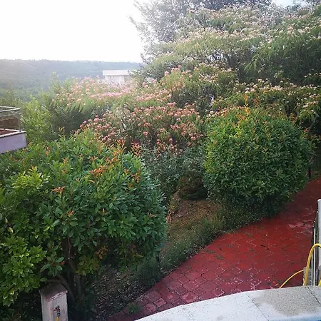 Daire Complex Karia Iii Kavarna